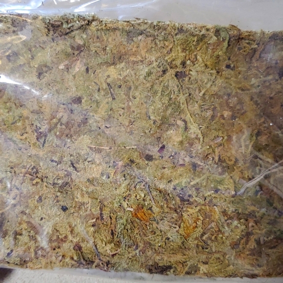 Reptile bundle - Picture 4 of 7